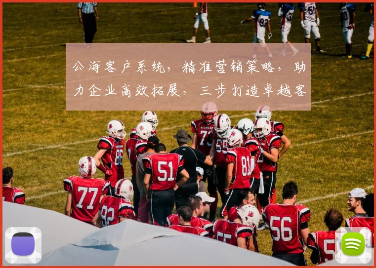 公海客户系统，精准营销策略，助力企业高效拓展，三步打造卓越客户体验