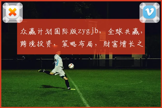 众赢计划国际版zygjb，全球共赢，跨境投资，策略布局，财富增长之路