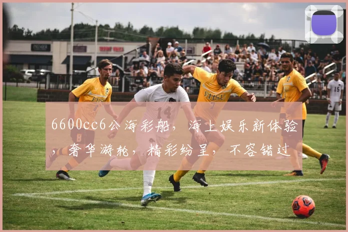 6600cc6公海彩船，海上娱乐新体验，奢华游轮，精彩纷呈，不容错过，尽享海上狂欢之旅
