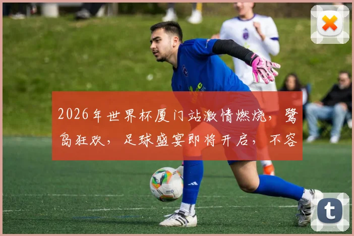 2026年世界杯厦门站激情燃烧，鹭岛狂欢，足球盛宴即将开启，不容错过